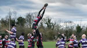 Image result for Dunstablians Rugby Union Football Club