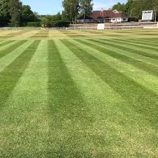 Image result for Vale Cricket Club