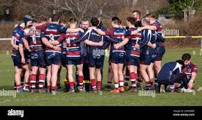 Image result for Old Patesians Rfc