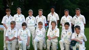 Image result for Yelverton Bohemians Cricket Club