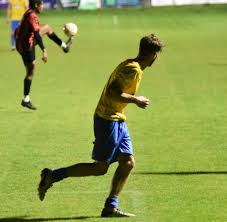 Image result for Ockley Acorns Junior F C