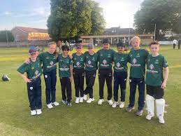 Image result for Redlynch and Hale Cricket Club