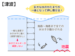 Image result for 高潮 津波 別物