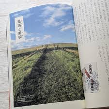 Image result for 竹内志麻子島村洋子