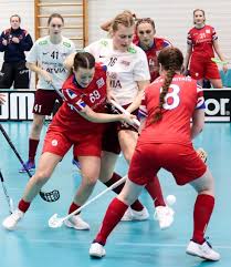 Image result for Reading University Floorball Club