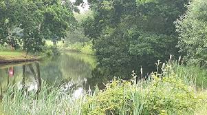 Image result for Downshire Golf Complex