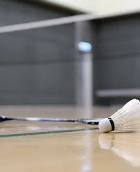 Image result for New Eagles Badminton Club