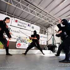 Image result for Bridge Hall Bujinkan Dojo