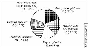 Attēlu rezultāti vaicājumam “Cetrelia sp.”