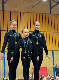 Image result for Weaverham Gymnastics Club