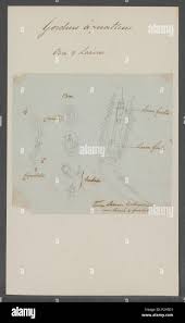 Attēlu rezultāti vaicājumam “Gordius aquaticus”