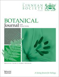 Attēlu rezultāti vaicājumam “Hamatocaulis lapponicus”