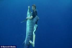 Der verrückteste Angler der Welt - Matt Watson Stunt-Fischer ...