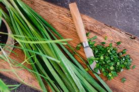 Image result for Schnittknoblauch