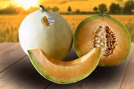 Image result for Melone