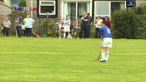 Image result for Lochcarron Camanachd