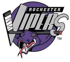 Image result for Vipers Roller Hockey Team