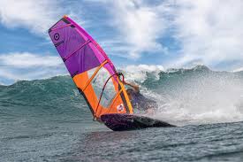 Image result for Aloha Sailboards