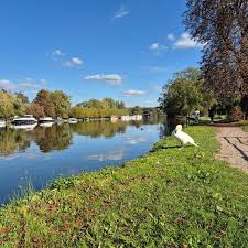 Image result for Staines Ramblers Group