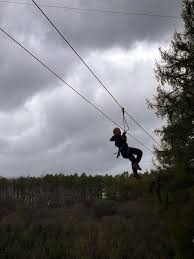 Image result for Go Ape! Dalby