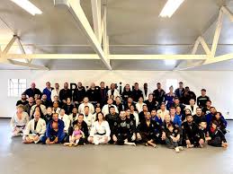 Image result for Revolution Dojo