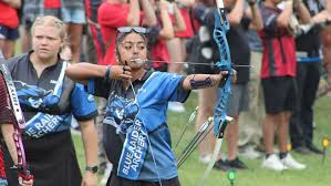 Image result for Blue Arrows Archery Club