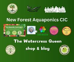 Image result for New Forest/Waterside