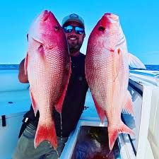 Image result for Aprion virescens