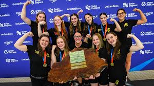 Image result for Walsall Artistic Swimming Club