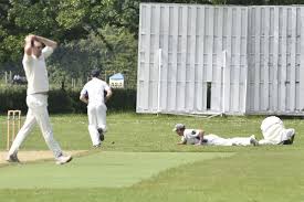 Image result for Worcester Nomads Cricket Club