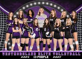 Image result for Ellesmere Port Eels Volleyball Club