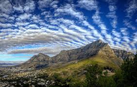 Image result for Peak Paragliding Club