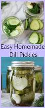 Image result for Dill