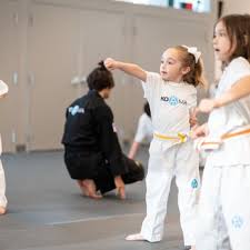 Image result for IXL Martial Arts