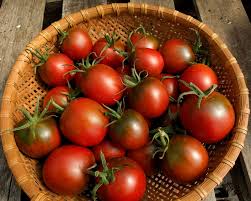 Afbeeldingsresultaat voor debarro black tomato