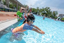 Image result for Norfolk Pikes Octopush Club