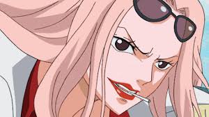 「ヒナ ONE PIECE」の画像検索結果