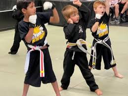 Image result for Hetton and Murton Karate Academy