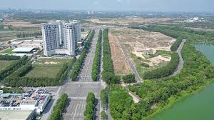 Image result for Sycamore Ttc