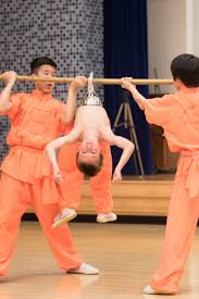 Image result for Shaolin Ancestors kung Fu School