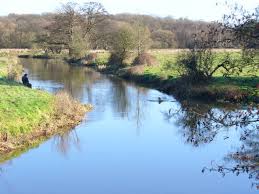 Image result for Woking & District Angling Association