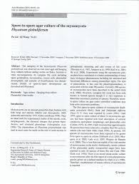 Attēlu rezultāti vaicājumam “Physarum globuliferum young”