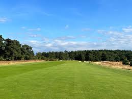 Image result for Hankley Common Golf Club