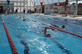 Image result for Swindon Amateur Swimming Club