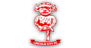 Image result for South Lincoln Jfc