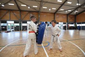 Image result for Phil Little Choi Kwang Do Academy