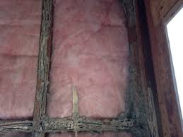 Image result for 4641027870