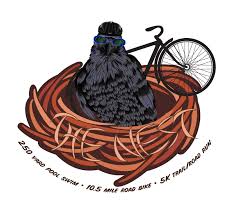 Image result for North East Children`s Triathlon