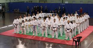 Image result for Kyoku Kenjutsu Kai
