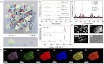 Multimodal dynamic color-tunable persistent luminescent phosphor ...